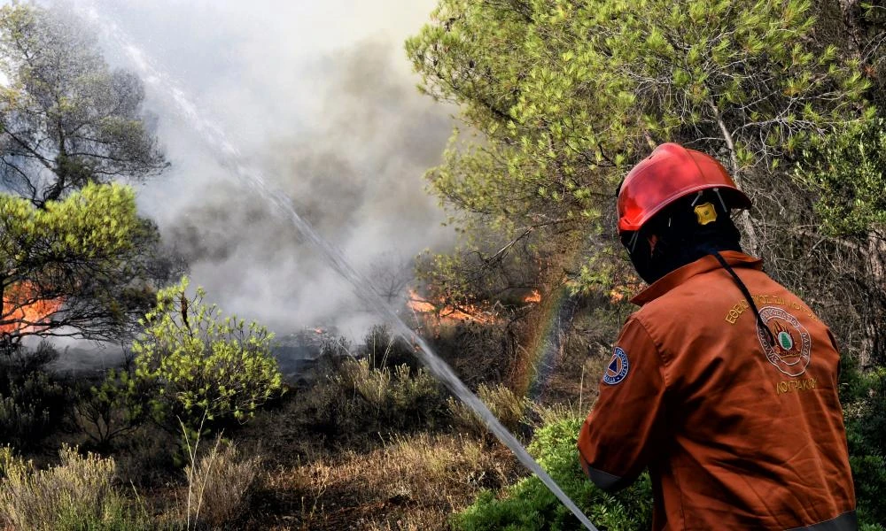 Συναγερμός στην Λακωνία: Φωτιά σε δασική έκταση - Σηκώθηκε και ελικόπτερο
